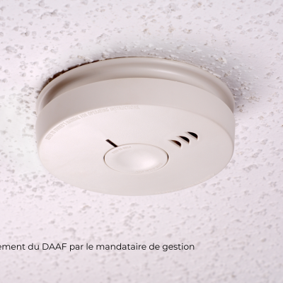 Detecteur de fumée